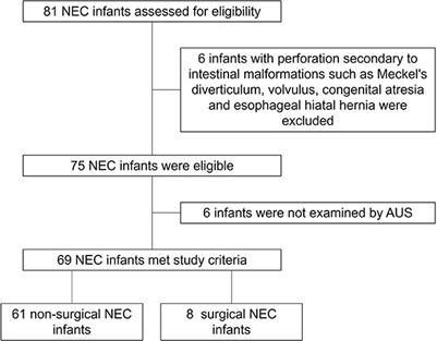 Application of abdominal ultrasonography in surgical necrotizing enterocolitis: a retrospective study